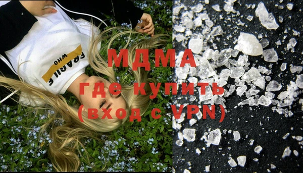 прущие грибы Алексеевка
