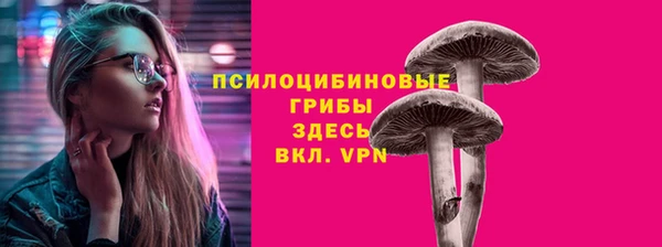 прущие грибы Алексеевка