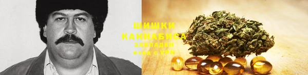 прущие грибы Алексеевка