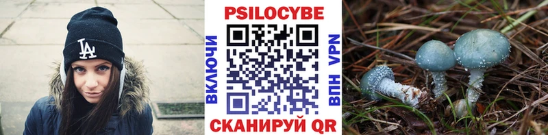 Галлюциногенные грибы Cubensis  Серов 